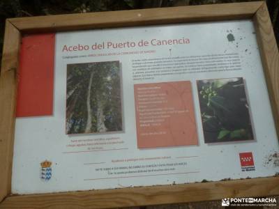 Canencia-Mojonavalle-Sestil de Maillo;escapadas sierra de madrid río guadarrama sierra de cabrera b